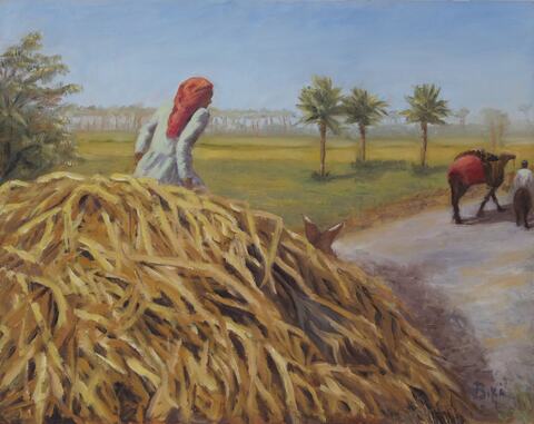 Egyptian Harvest in 1980