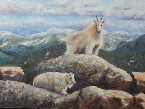 Mountain Goat
