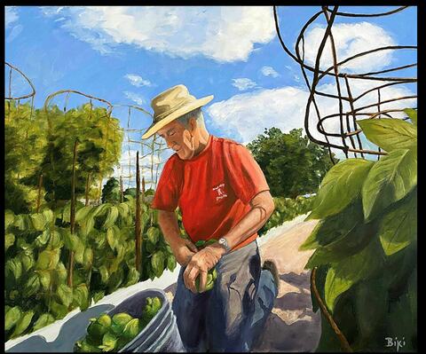 Mr Roberts Picking Peppers
