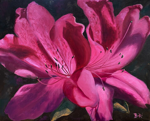 Amazing Azalea
