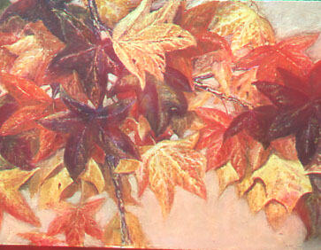 Fall Leaves