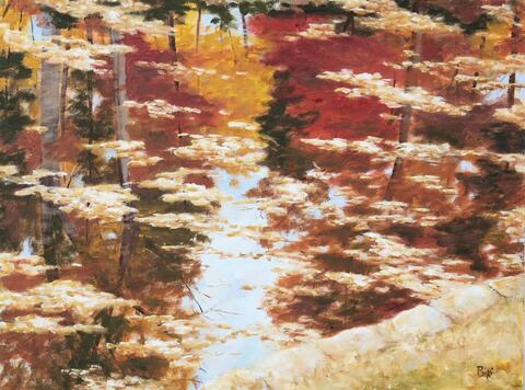 Cedarhurst Fall Reflections