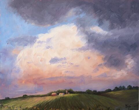 Cloud Shadows