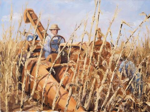 Corn Harvest