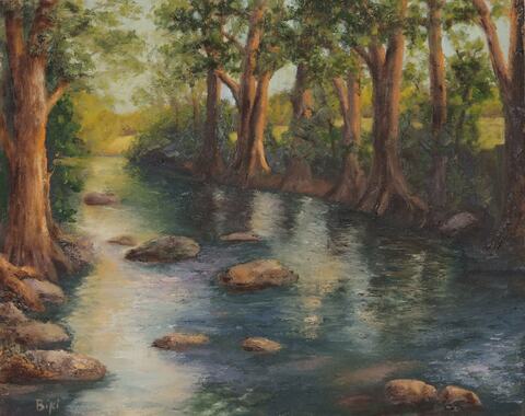 Cypress on the Guadalupe