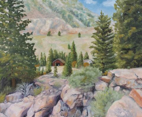 Home in the Mountains