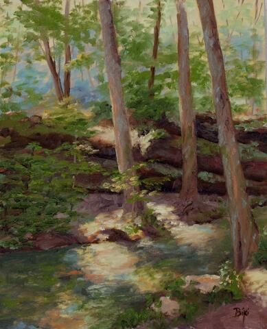 Light in Ferne Clyffe