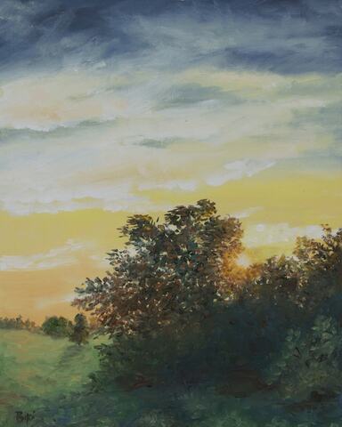 Morning Light