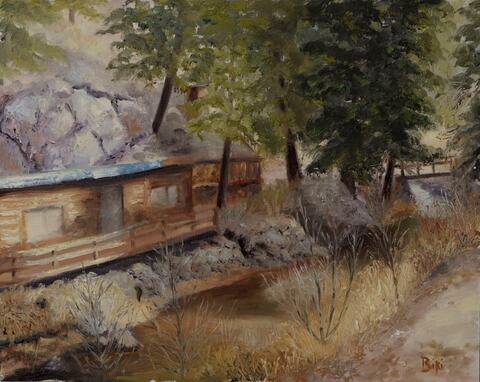 Mountain Cabin