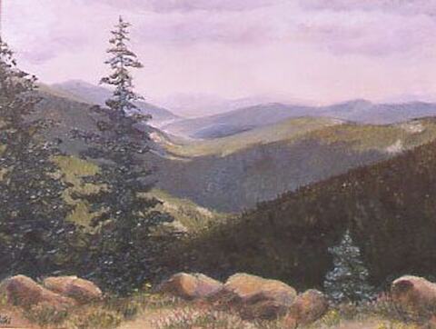 Mountain Shadows