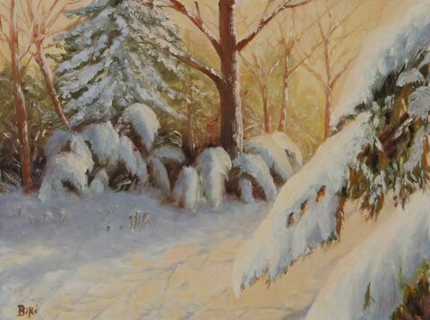 Snowy Splendor