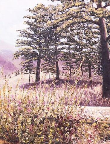 The Cedars