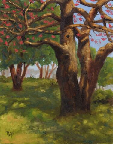 The Coral Tree