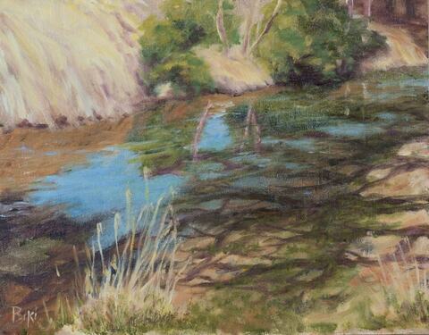 Creekside Reflections